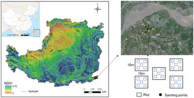 Effects of cropland-to-orchard conversion on soil multifunctionality, particularly nitrogen cycling in the eastern Loess Plateau